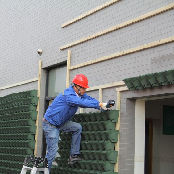 Persona realizando mantenimiento huerto