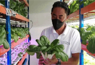 Hombre investigando cultivos.